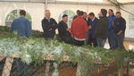 bilda.jpg