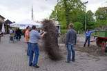 dsc00464.jpg
